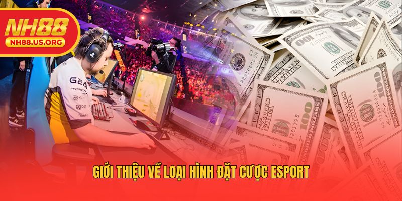 Giới thiệu về loại hình đặt cược esport