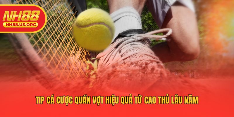 Tip cá cược quần vợt hiệu quả từ cao thủ lâu năm
